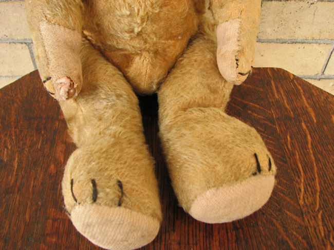 Large  Teddy Bear  |  F122