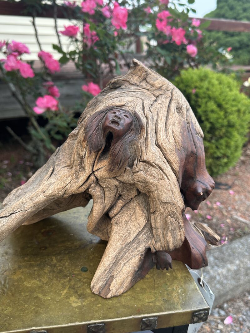 Native American Folk Art Carving - W7407 - Image 10