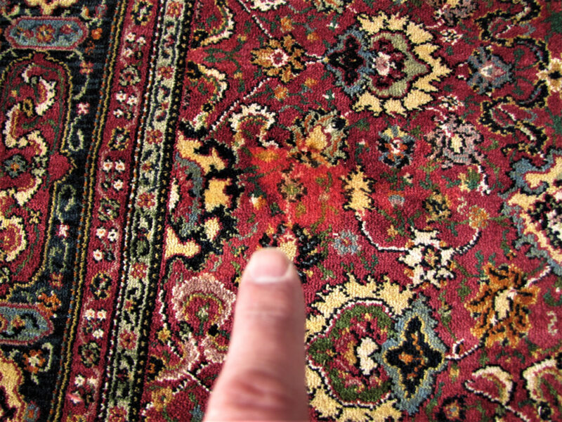 Vintage Karastan Williamsburg Rug rr3365 - Image 8