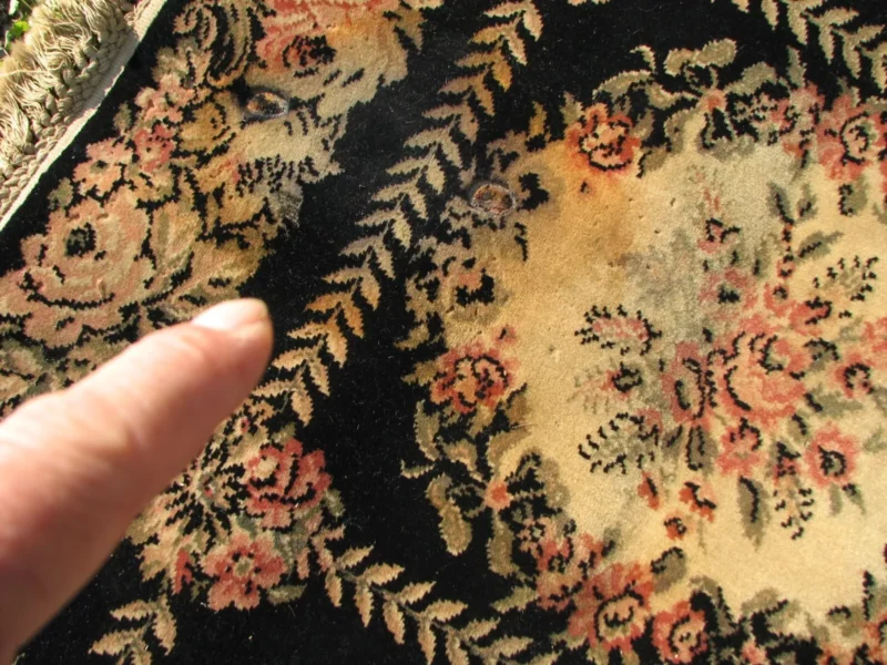 SUPERB Antique Palace-size Anglo-Persian Rug from Early 1900s - RR9519 - Image 15