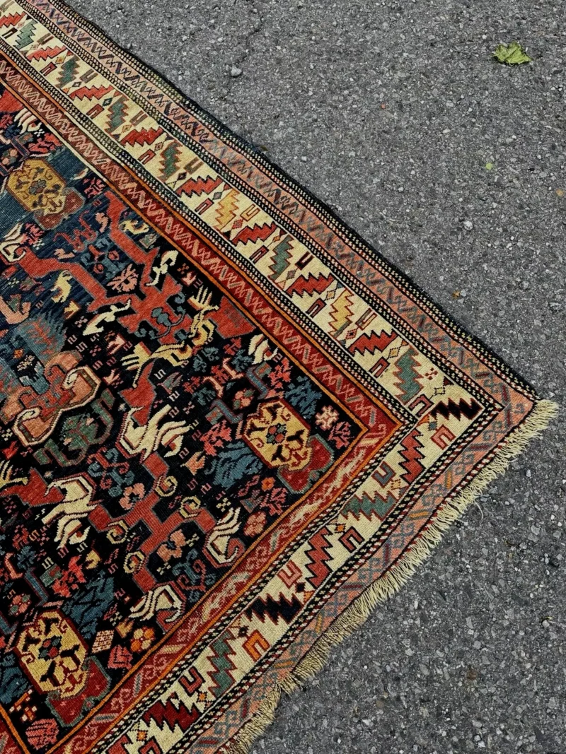 SOLD - Antique Caucasian SHIRVAN Oriental Rug - Image 13