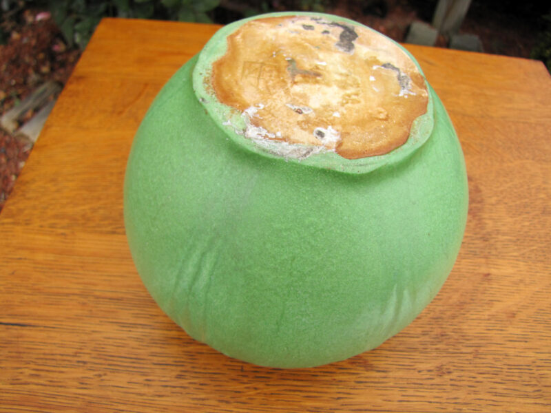 Van Briggle Pottery Vase W3938 - Image 3